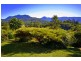 343 Roses Rd Gleniffer, Bellingen NSW 2454