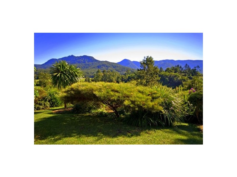 343 Roses Rd Gleniffer, Bellingen NSW 2454