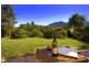 343 Roses Rd Gleniffer, Bellingen NSW 2454