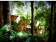 52 Mount St Fernmount, Bellingen NSW 2454
