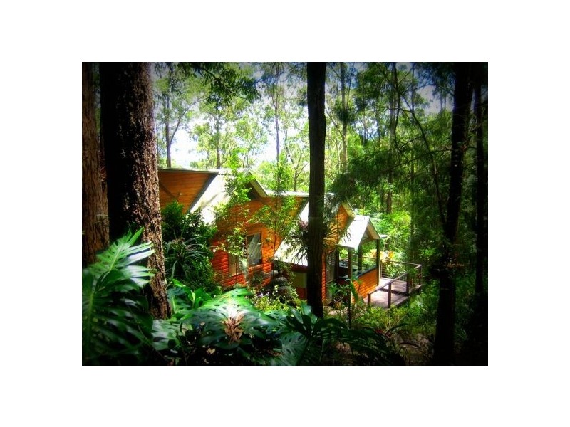 52 Mount St Fernmount, Bellingen NSW 2454
