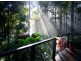 52 Mount St Fernmount, Bellingen NSW 2454