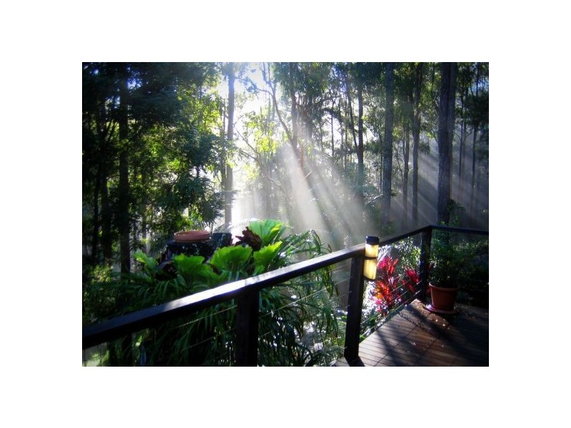52 Mount St Fernmount, Bellingen NSW 2454