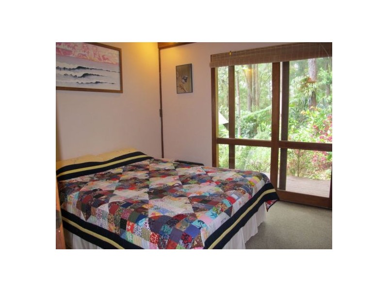 52 Mount St Fernmount, Bellingen NSW 2454