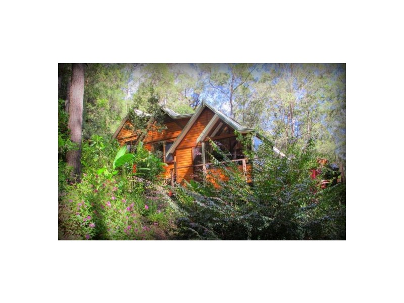 52 Mount St Fernmount, Bellingen NSW 2454
