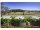 59 Reids Road, Bellingen NSW 2454