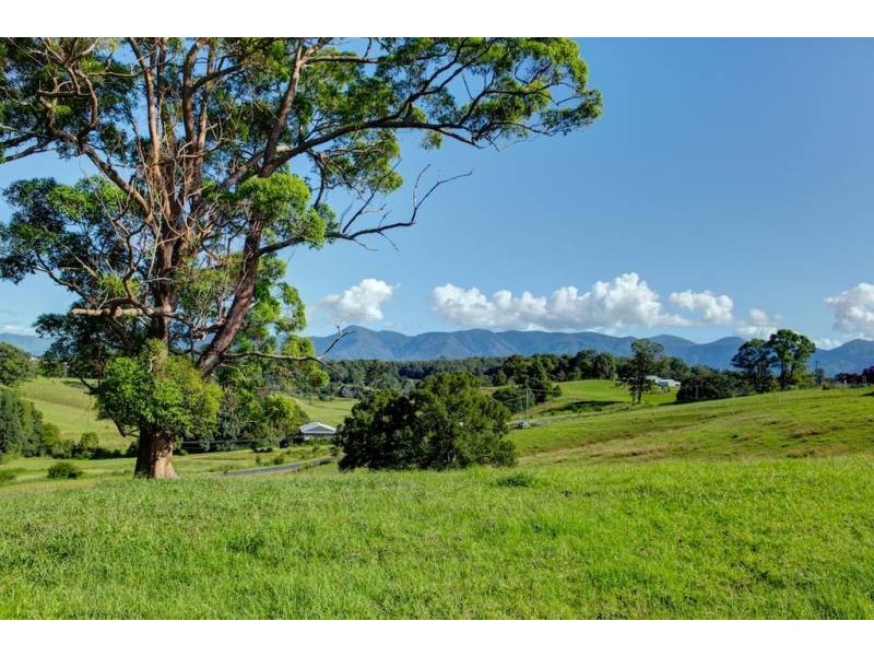 Bellingen NSW 2454
