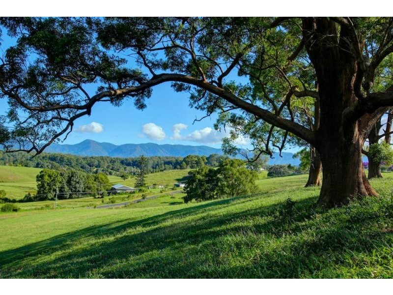 Bellingen NSW 2454