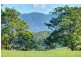 Bellingen NSW 2454