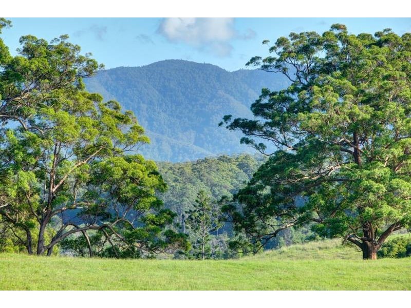 Bellingen NSW 2454