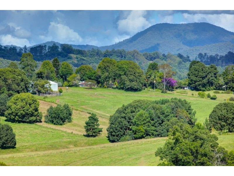 Bellingen NSW 2454