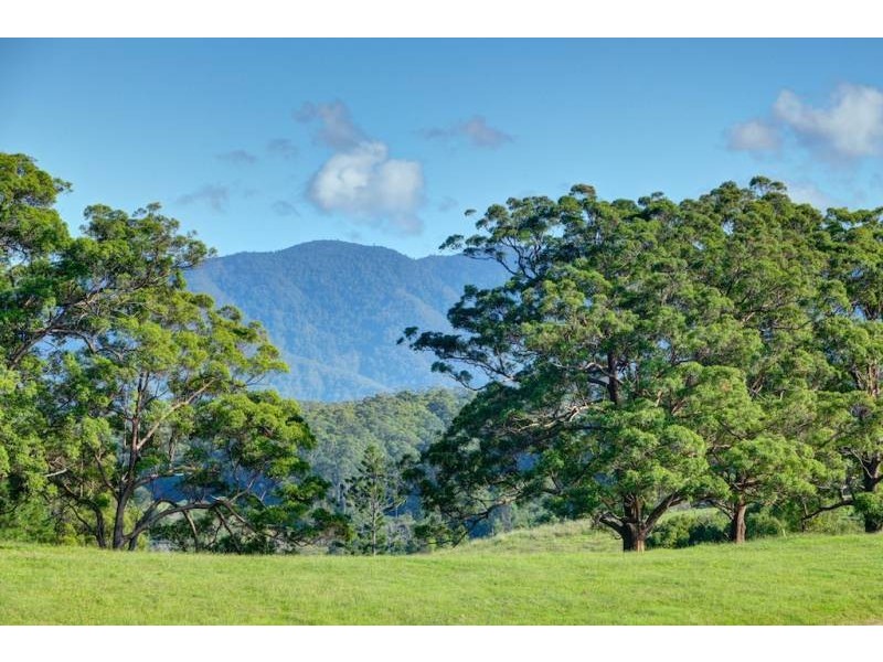 Bellingen NSW 2454