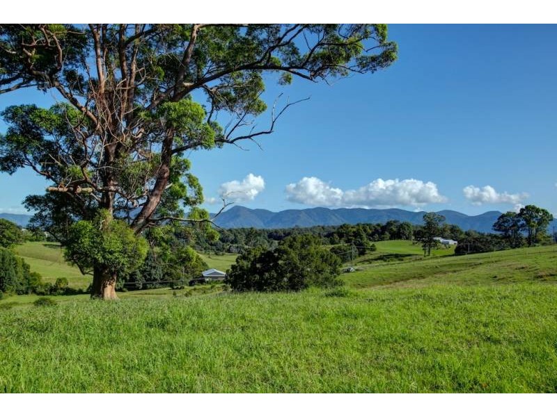 Bellingen NSW 2454