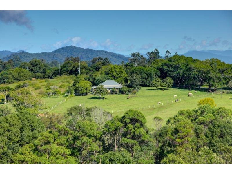 Bellingen NSW 2454
