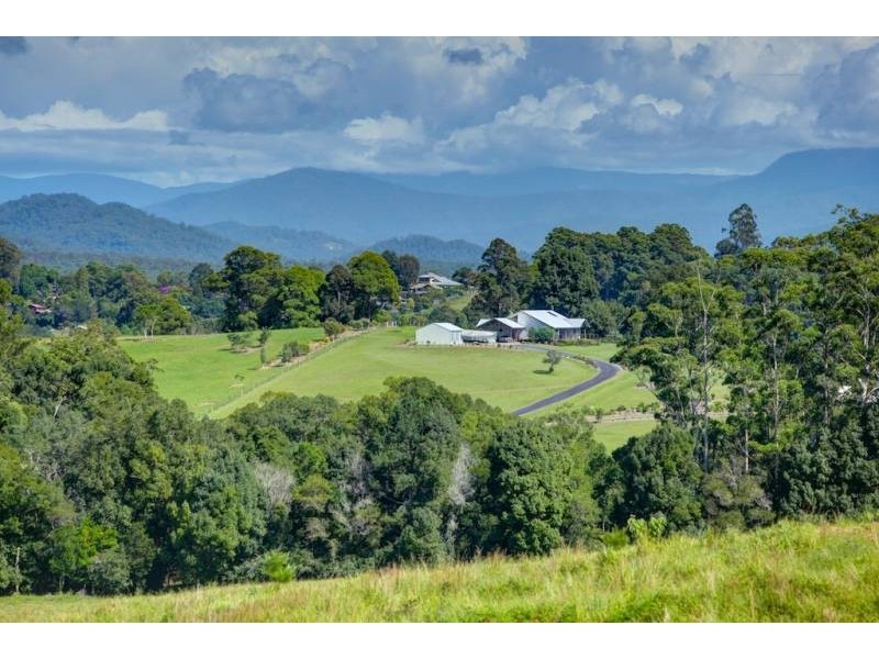 Bellingen NSW 2454