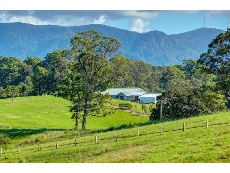 Bellingen NSW 2454