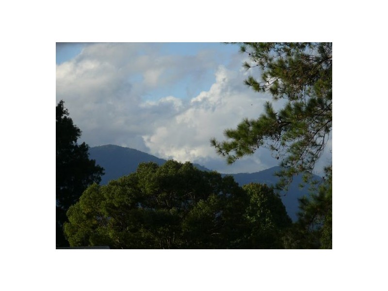6 Red Cedar Place, Bellingen NSW 2454