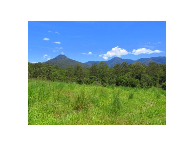603 Roses Road, Bellingen NSW 2454