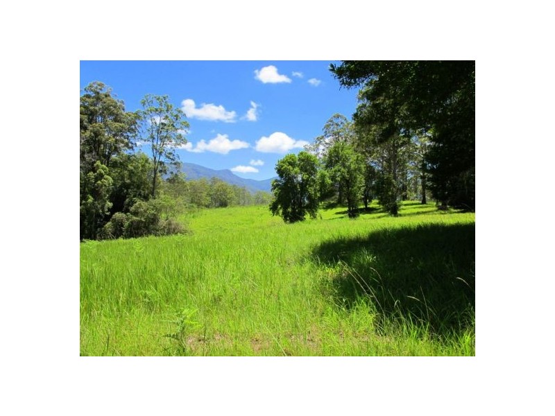603 Roses Road, Bellingen NSW 2454