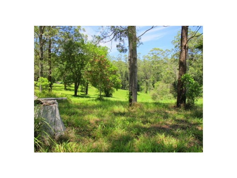 603 Roses Road, Bellingen NSW 2454