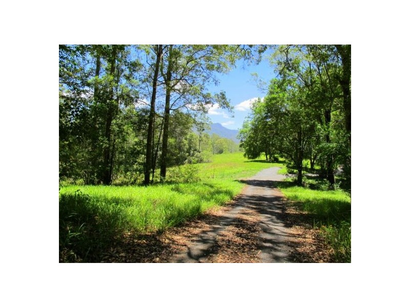 603 Roses Road, Bellingen NSW 2454