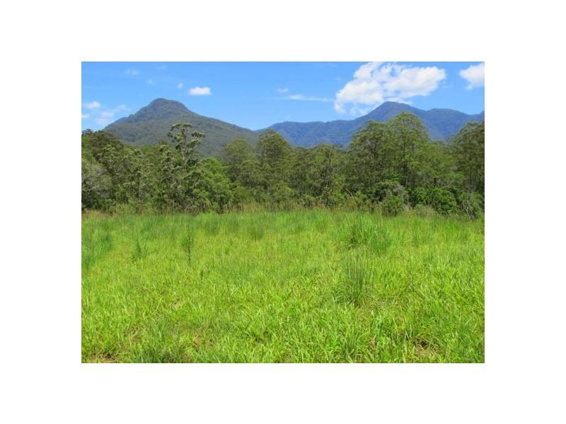 603 Roses Road, Bellingen NSW 2454