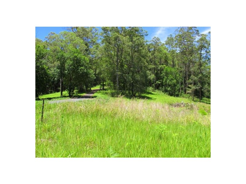 603 Roses Road, Bellingen NSW 2454