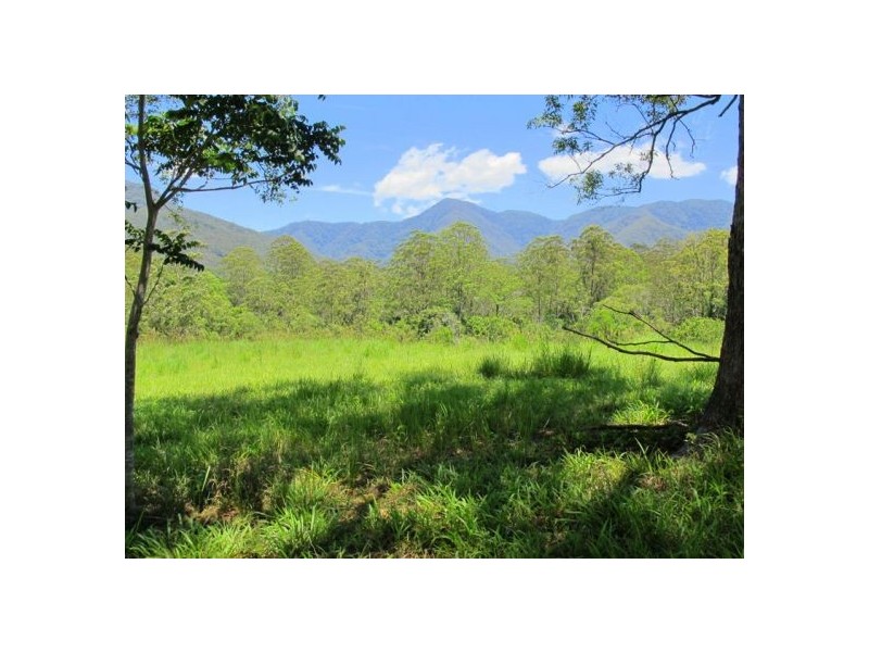 603 Roses Road, Bellingen NSW 2454
