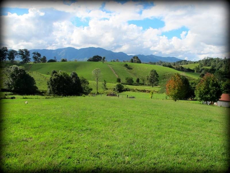 285/Lot 7 Crawford Close, Bellingen NSW 2454