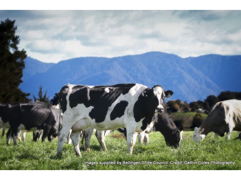 285/Lot 7 Crawford Close, Bellingen NSW 2454