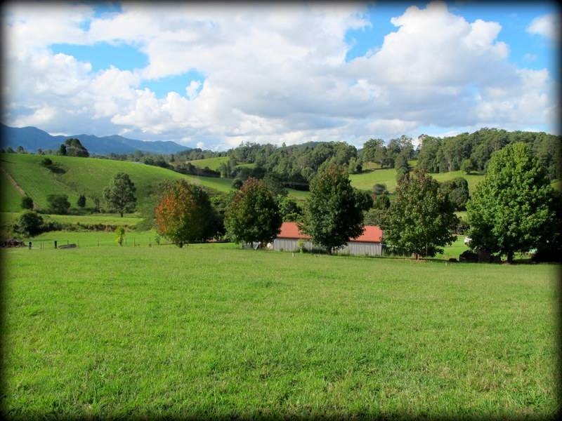 285/Lot 7 Crawford Close, Bellingen NSW 2454