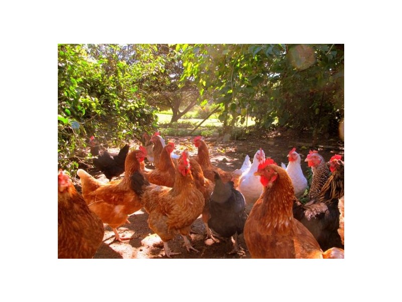 3 Riverside Drive, Urunga NSW 2455