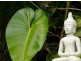 14 Kuta Ave, Valla NSW 2448