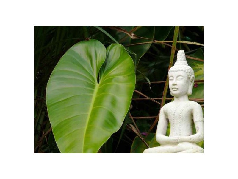 14 Kuta Ave, Valla NSW 2448