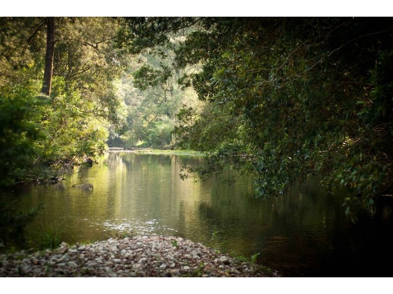 1620 Kalang Rd, Bellingen NSW 2454
