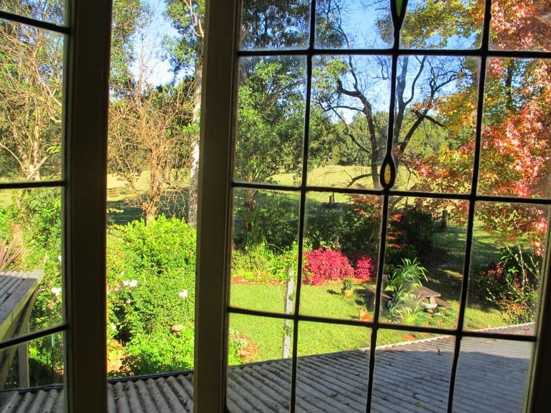 1620 Kalang Rd, Bellingen NSW 2454