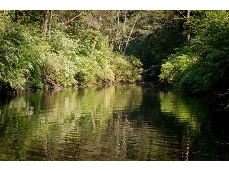 1620 Kalang Rd, Bellingen NSW 2454