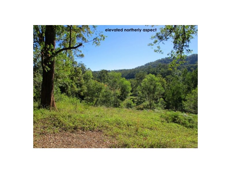 1690 Bowraville Road, Bellingen NSW 2454