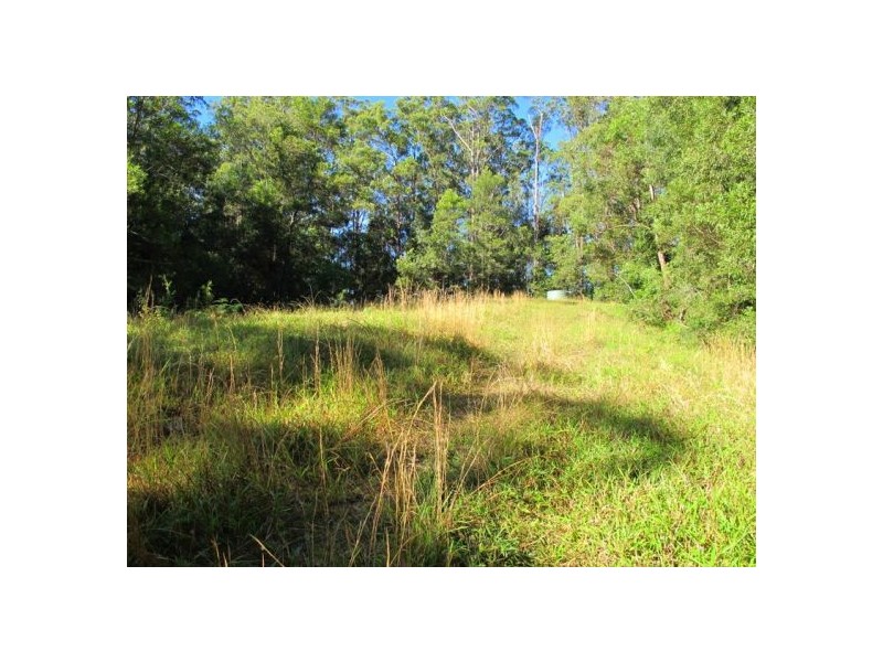 1690 Bowraville Road, Bellingen NSW 2454