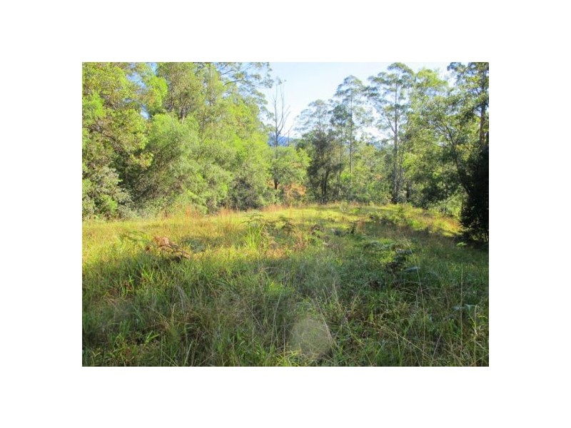 1690 Bowraville Road, Bellingen NSW 2454