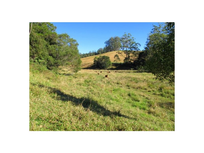 1690 Bowraville Road, Bellingen NSW 2454