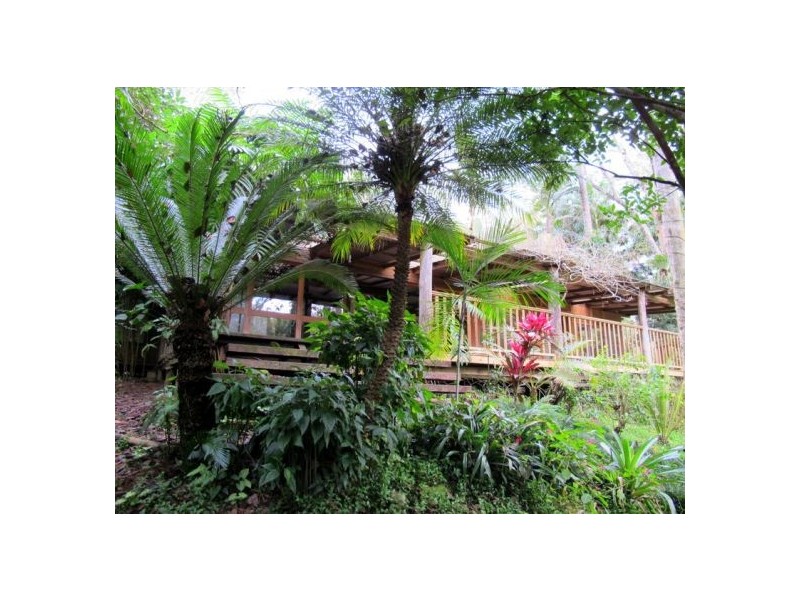 1970 Kalang Road, Bellingen NSW 2454