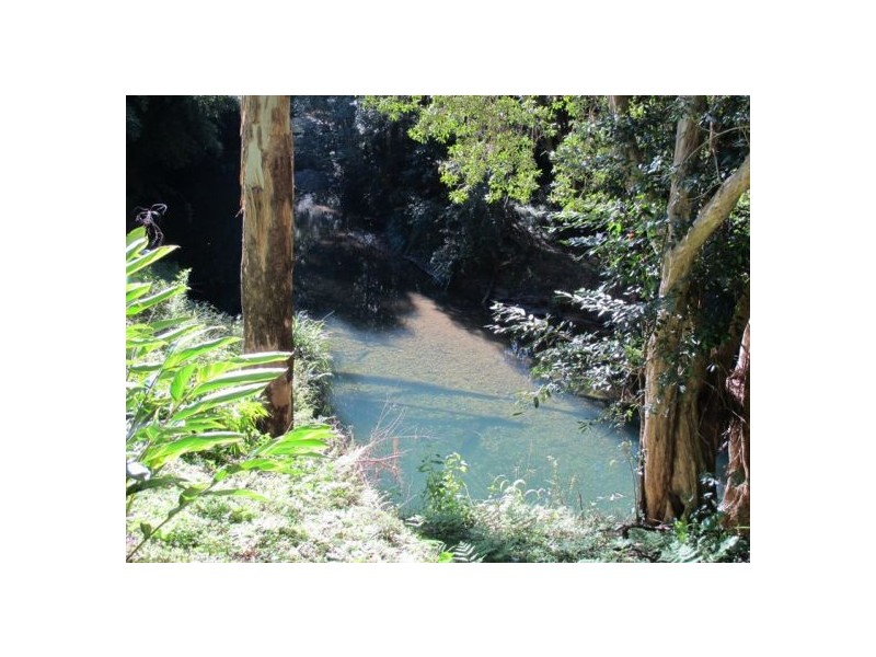 1970 Kalang Road, Bellingen NSW 2454