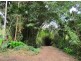 1970 Kalang Road, Bellingen NSW 2454