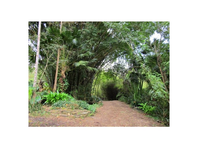 1970 Kalang Road, Bellingen NSW 2454