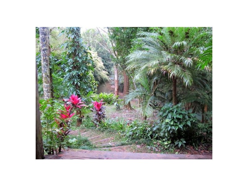 1970 Kalang Road, Bellingen NSW 2454