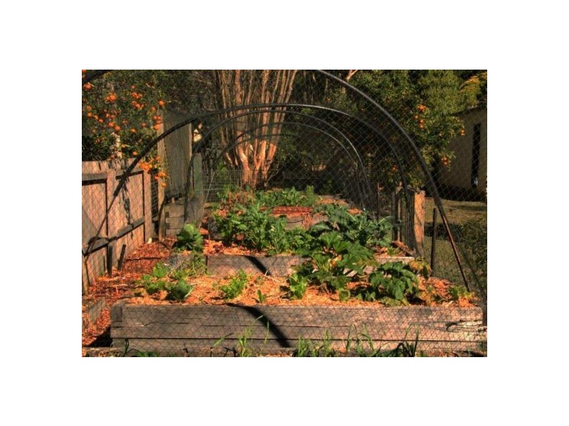 15 Black St, Bellingen NSW 2454