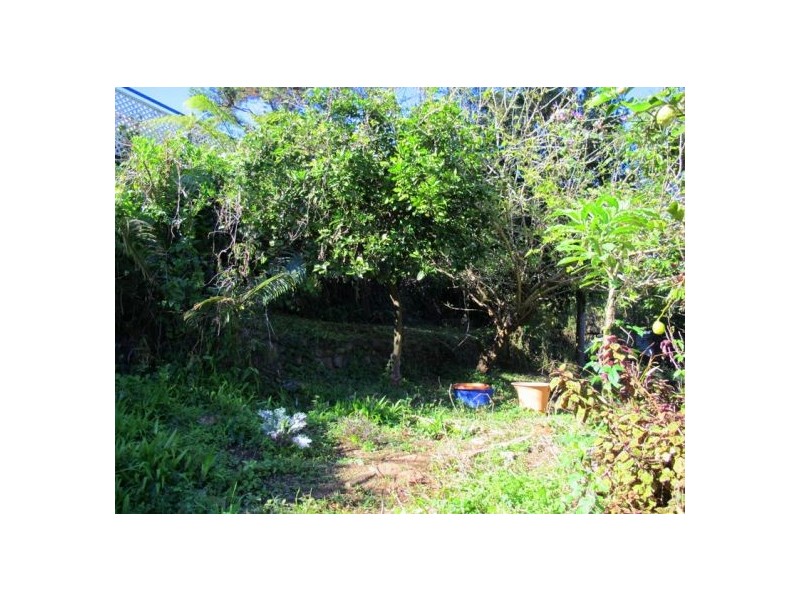 19 Lyon Street, Bellingen NSW 2454