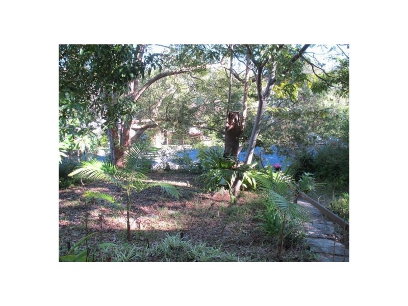 19 Lyon Street, Bellingen NSW 2454