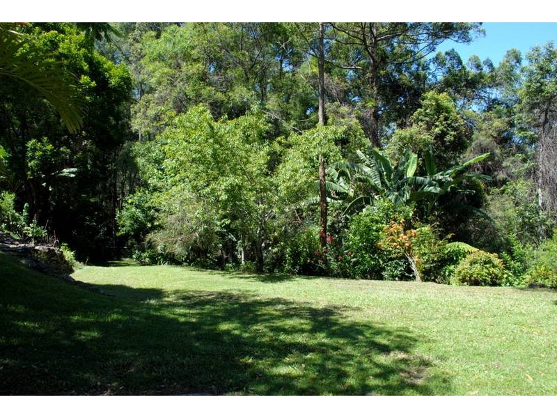 906 Bowraville Rd, Bellingen NSW 2454